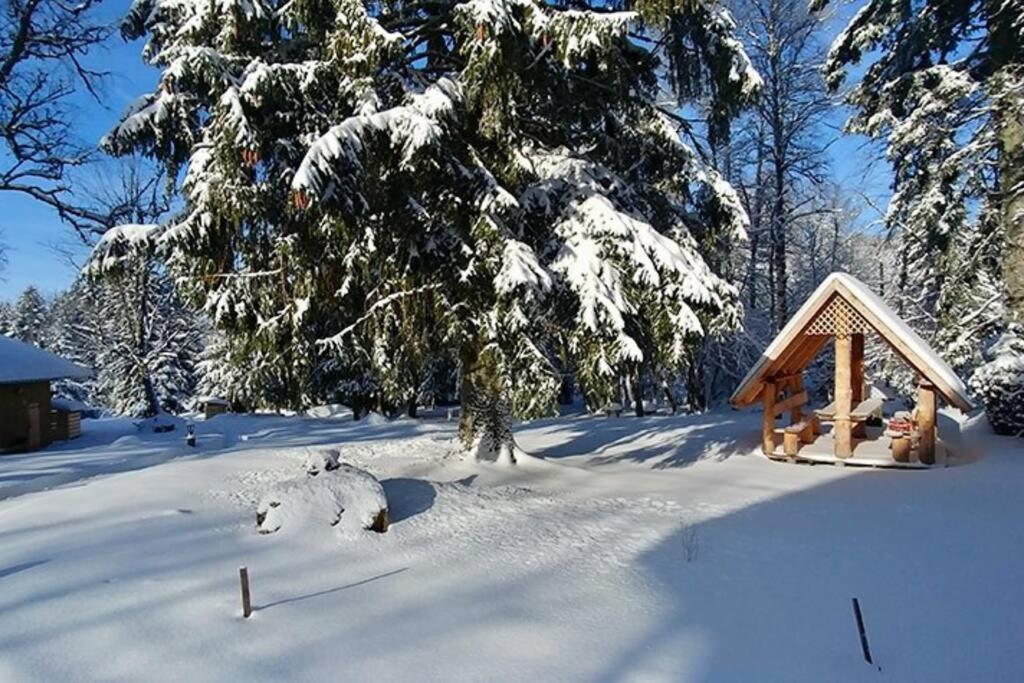 Le Petit Loup, Appartement Neuf Avec Jardin Gerbepal Exterior photo